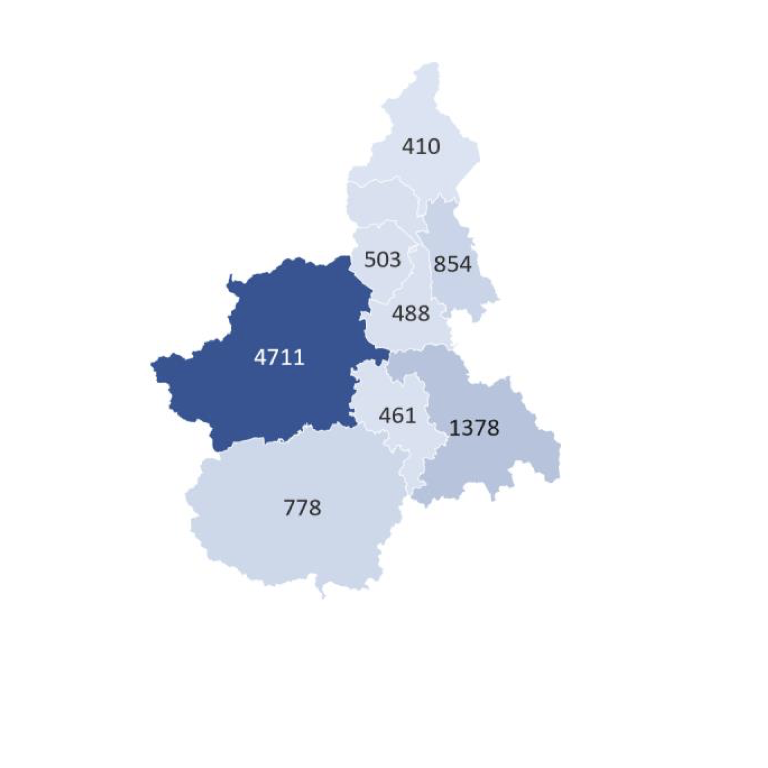 The total infected cases distributed in the counties of the Piedmont region.